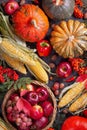Autumn agricultural still life with fruits and vegetables. Harvest festival holiday concept. Flat lay Royalty Free Stock Photo