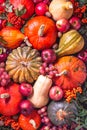 Autumn agricultural still life from the harvest of fruits and vegetables Royalty Free Stock Photo