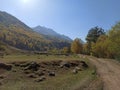 autumn in the Aksaut gorge. Royalty Free Stock Photo