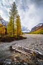 Autumn in the Aktru River Valley