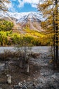 Autumn in the Aktru River Valley