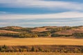 Autumn in the Alberta foothills.