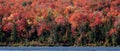 Autumn Algonquin Shore Royalty Free Stock Photo