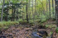 Autumn in the Alleghenies