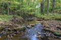 Autumn in the Alleghenies