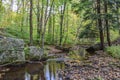 Autumn in the Alleghenies Royalty Free Stock Photo