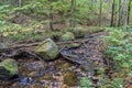 Autumn in the Alleghenies