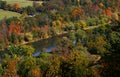 Autumn in Allegheny forest