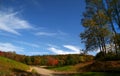 Autumn in Allegheny forest