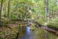 Autumn in the Allegheny Mountains Royalty Free Stock Photo