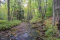 Autumn in the Allegheny Mountains Royalty Free Stock Photo