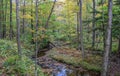 Autumn in the Allegheny Mountains