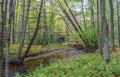 Autumn in the Allegheny Mountains Royalty Free Stock Photo