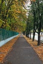 Autumn alley along the fence and trees with fallen leaves. road to the park Royalty Free Stock Photo