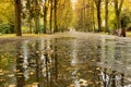 Autumn alley in a city park Royalty Free Stock Photo