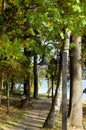 Autumn Alley and Lantern Royalty Free Stock Photo