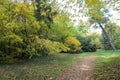 Autumn alley at the botanical garden