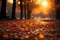 Autumn alley in the park at sunset. Beautiful autumn landscape