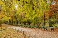 Autumn alley in park Royalty Free Stock Photo