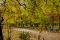 Autumn alley in park Royalty Free Stock Photo