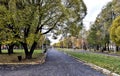 Alley for walks with old trees, autumn Royalty Free Stock Photo