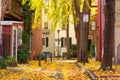 Autumn alleyway in Philadelphia, Pennsylvania, USA Royalty Free Stock Photo