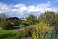 Autumn in the allotment.sunshi