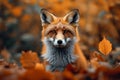 Autumn allure Beautiful red fox in an autumn forest scene