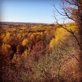 Autumn along the Assiniboine