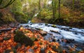 Autumn Along Bridal Veil Creek Columbia River Gorge Royalty Free Stock Photo