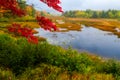 Autumn along Duck Brook Road, Acadia National Park, Maine Royalty Free Stock Photo