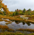 Autumn along Duck Brook Road, Acadia National Park, Maine Royalty Free Stock Photo