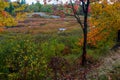 Autumn along Duck Brook Road, Acadia National Park, Maine Royalty Free Stock Photo