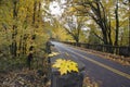 Autumn Along Historic Columbia Highway Bridge