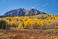 Autumn Along Kebler Pass Royalty Free Stock Photo