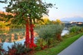 Autumn along the River Drava Royalty Free Stock Photo