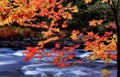 Autumn Along The River Royalty Free Stock Photo