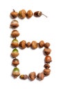 Autumn alphabet. Letter B is laid out of acorns
