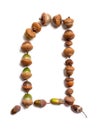 Autumn alphabet. Letter D is laid out of acorns