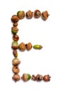 Autumn alphabet. Letter E is made of acorns