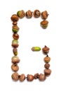 Autumn alphabet. Letter G is made of acorns