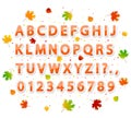 Autumn alphabet Royalty Free Stock Photo