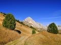 Autumn alpine landscape of Seceda - Odle Group in the Dolomites. South Tyrol, Italy. Royalty Free Stock Photo