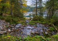 Autumn alpine stream view, Gosauseen, Austria Royalty Free Stock Photo