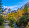 Autumn alpine stream view from mountain hiking path to Tappenkarsee, Kleinarl, Land Salzburg, Austria Royalty Free Stock Photo