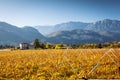 Autumn in Alps of Trentino-Alto Adige Royalty Free Stock Photo