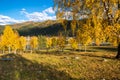 Autumn in Altay mountains Royalty Free Stock Photo