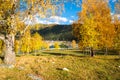 Autumn in Altay mountains Royalty Free Stock Photo