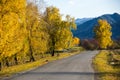 Autumn in Altay mountains Royalty Free Stock Photo