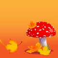 Autumn Amanita